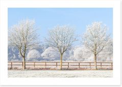 Winter Art Print 247150245