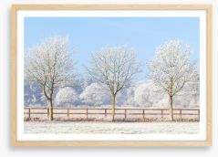 Three frosty trees Framed Art Print 247150245