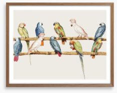 The parrot perch Framed Art Print 247706451