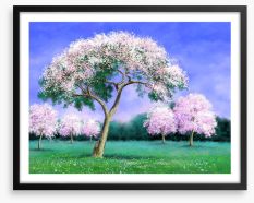 Pink blossom grove Framed Art Print 248752649