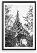 Eiffel Tower trees Framed Art Print 249503604