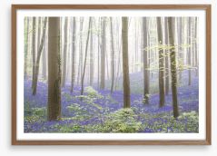 The bluebell forest Framed Art Print 250680103
