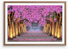 Tunnel of blossom Framed Art Print 251616469
