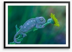 Reptiles / Amphibian Framed Art Print 252527839
