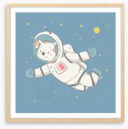 Puppy in space