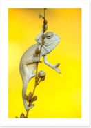Reptiles / Amphibian Art Print 254251690