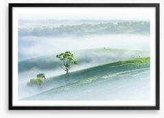 Morning mist Framed Art Print 254788891