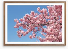 Spring Framed Art Print 255706267