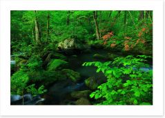 Forests Art Print 255856663
