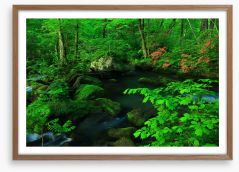 Forests Framed Art Print 255856663