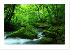 Forests Art Print 255862484