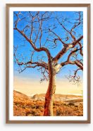 The sunburnt tree Framed Art Print 256341690