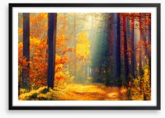 Autumn illuminated Framed Art Print 256520506
