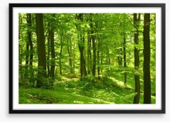 Emerald forest Framed Art Print 25737851