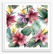 Aloha blooms Framed Art Print 258593406