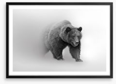 Bear from the mist Framed Art Print 260089724