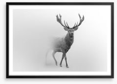 Deer from the mist Framed Art Print 260104427
