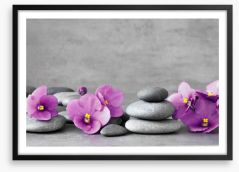 Blooms and balance Framed Art Print 260363836