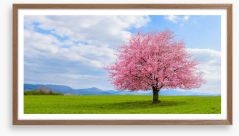 Blossom alone Framed Art Print 261705159