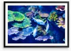 Underwater Framed Art Print 261711238