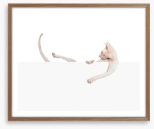 Mammals Framed Art Print 262324744