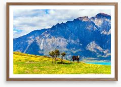 New Zealand Framed Art Print 265590197