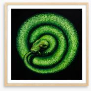 Green serpent spiral