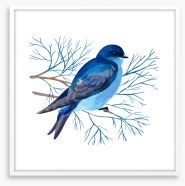 Birds Framed Art Print 266185853