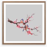Sakura songbirds Framed Art Print 267090468