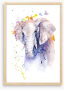 Elephant aura Framed Art Print 267094877