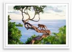 Monkey on the tree Framed Art Print 267436377