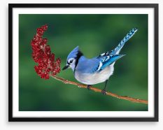 Birds Framed Art Print 269233402