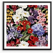 In full bloom Framed Art Print 270400271