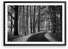 The winding path Framed Art Print 272628109