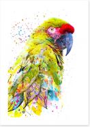 Birds Art Print 273719675
