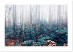 Forests Art Print 273756130
