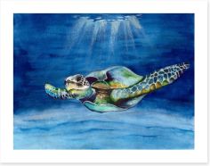 Green sea turtle Art Print 279130391