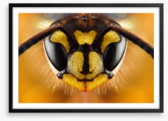 Insects Framed Art Print 279249209