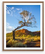 Outback Framed Art Print 280510640