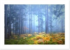Forests Art Print 282001191