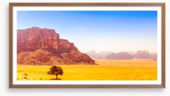 Desert Framed Art Print 283305968