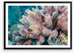 Underwater Framed Art Print 283507797