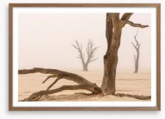 Ghosts of the desert Framed Art Print 284361991