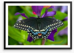 Insects Framed Art Print 284420755