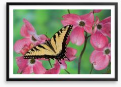 Insects Framed Art Print 284424735