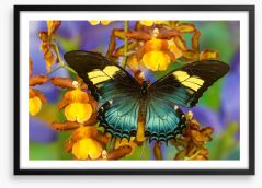 Insects Framed Art Print 284425253