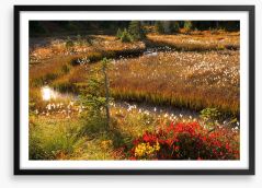 Wildflower stream Framed Art Print 284463357