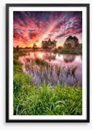 River reed sunset Framed Art Print 285225942