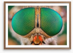 Insects Framed Art Print 287825801