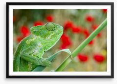 Reptiles / Amphibian Framed Art Print 287895303